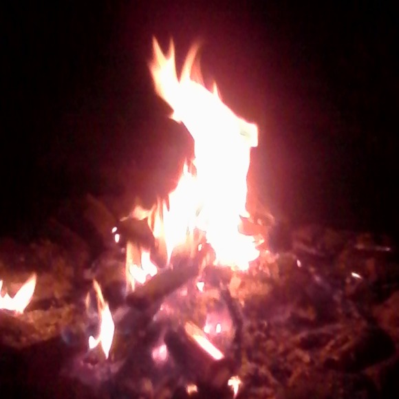 Meet your Posher, Amy - Picture 1 of 1